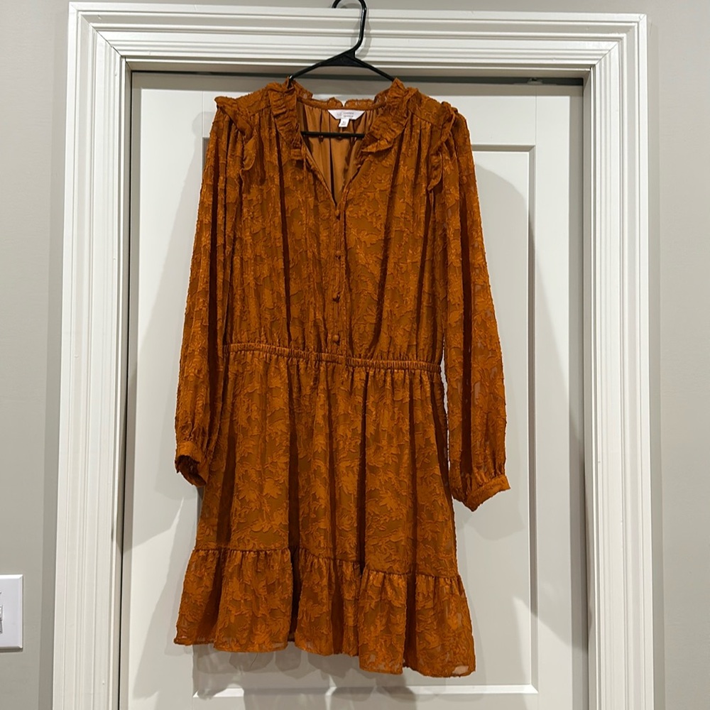XL Lauren Conrad Fall Dress
